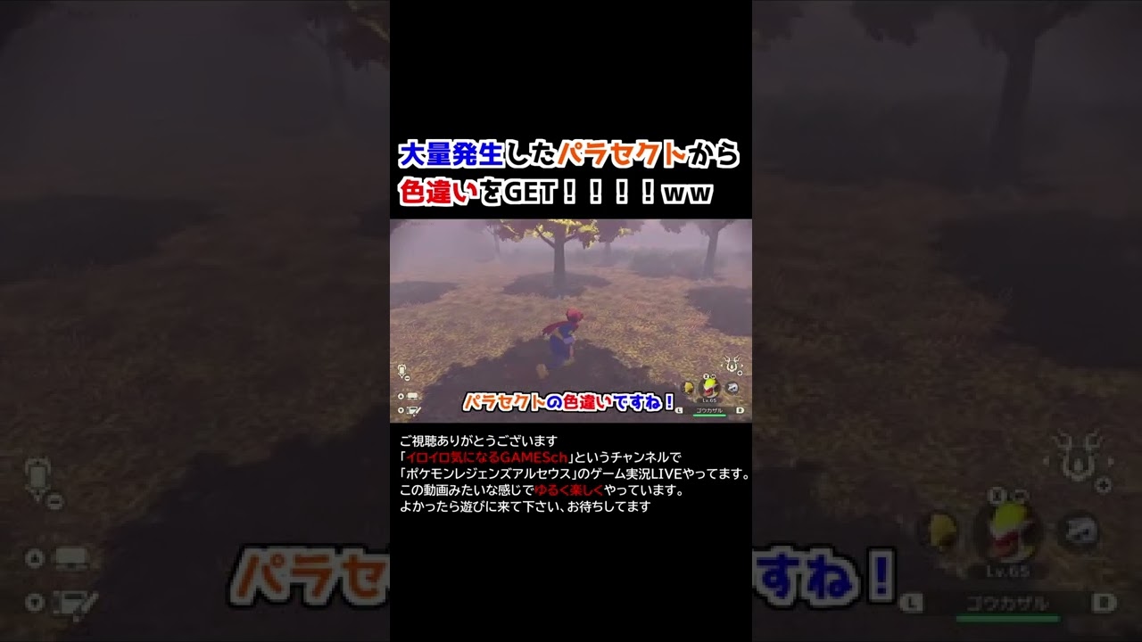 【大量発生】色違いパラセクトをゲット!!【Pokémon LEGENDS アルセウス】