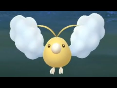 ポケモンGO 金のチルット