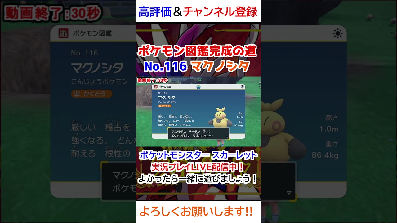 No 116 マクノシタ図鑑登録完了！【ポケモンSV】