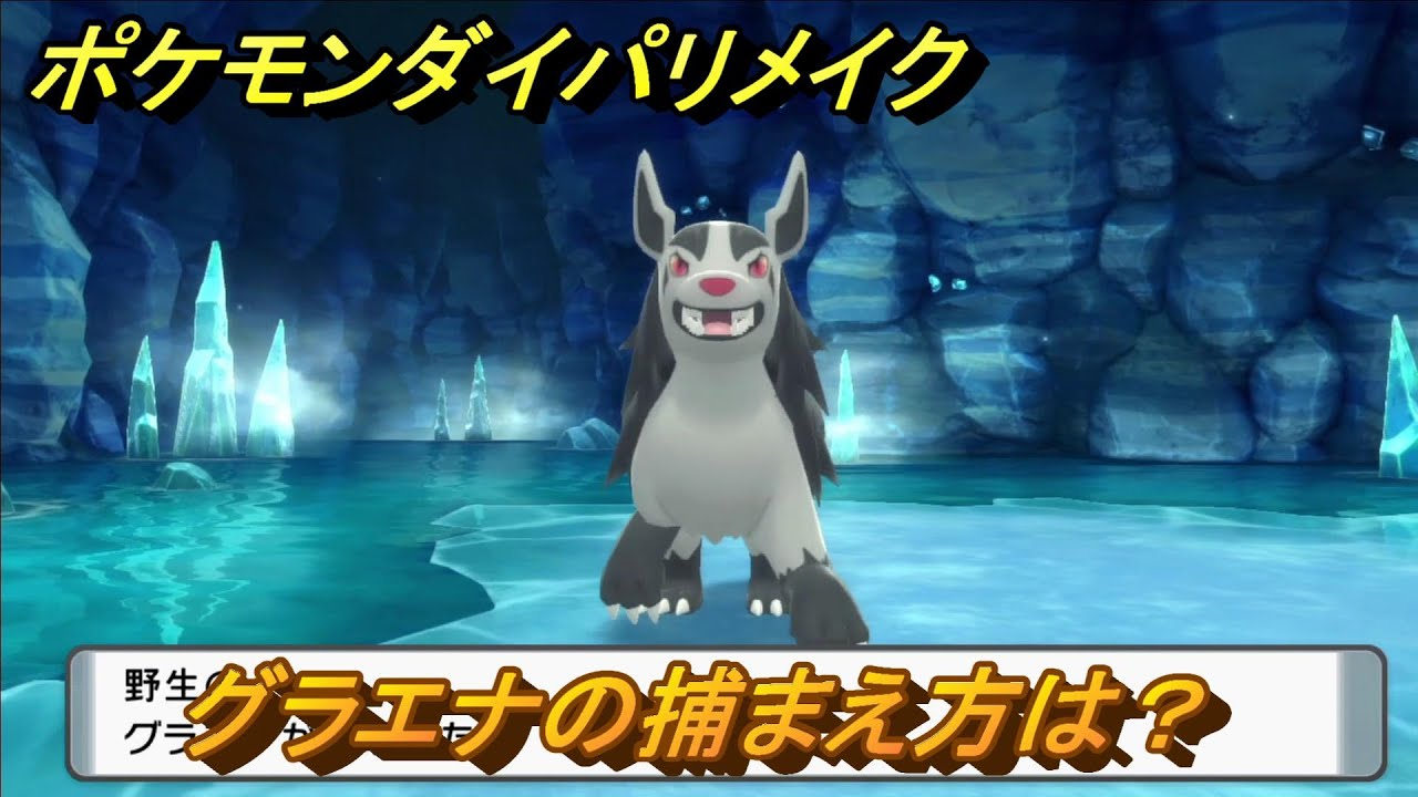 ポケモンダイパリメイク　グラエナの捕まえ方は？出現場所は？　最新版【ブリリアントダイヤモンド・シャイニングパール】