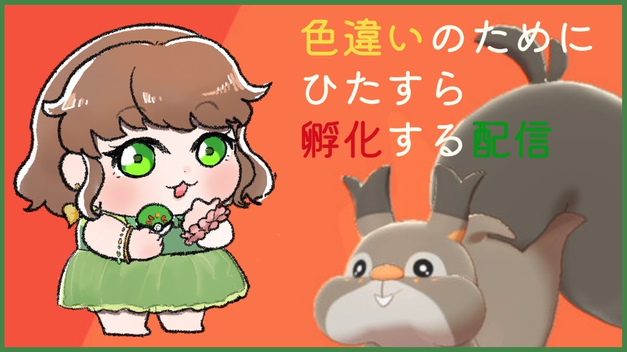 【ポケモン剣盾】色違いホシガリスが欲しいかーーー！！！【孵化配信】