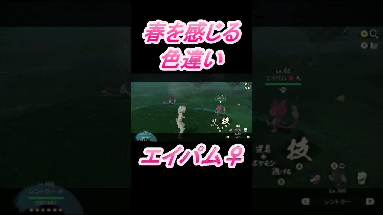 【春系色違い】色違いエイパム♀を出していく者！【大大大発生ランダム周回】　#Shorts【自然遭遇】【色厳選】【ポケモンレジェンズ】【Pokémon LEGENDS アルセウス】【Aipom】桜お花見