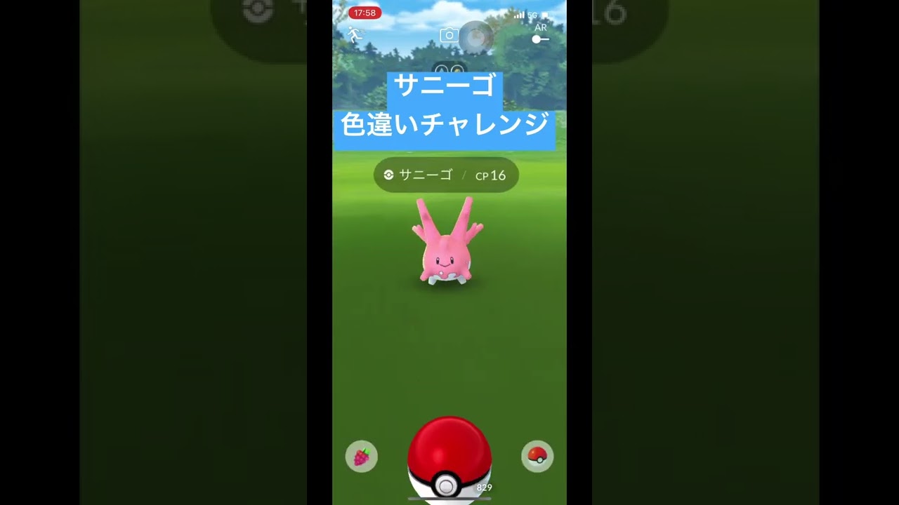 【ポケモンGO】サニーゴ色違いチャレンジ