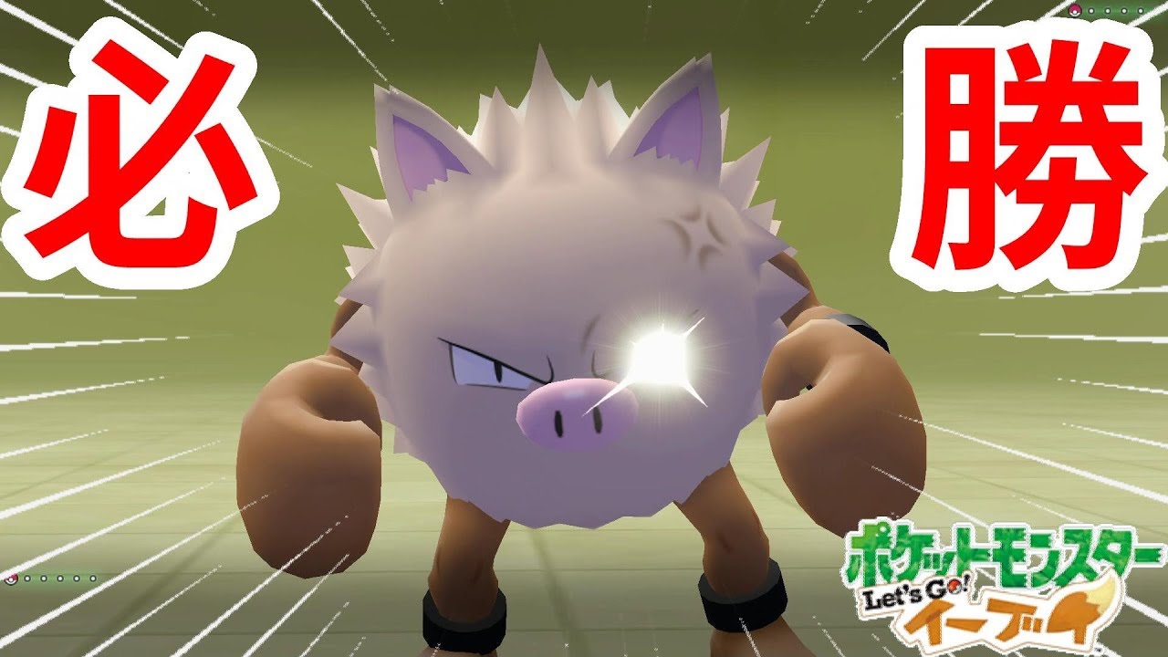 ケンカっぱやい空手王！？マンキーとオコリザル！【ポケモンLet'sGO！イーブイ】