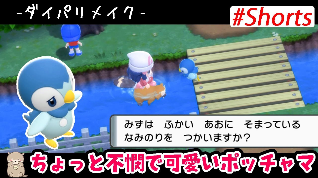 【 ダイパリメイク 実況 】タイミングが悪いポッチャマがかわいすぎる #Shorts | ポケモン | シャイニングパール