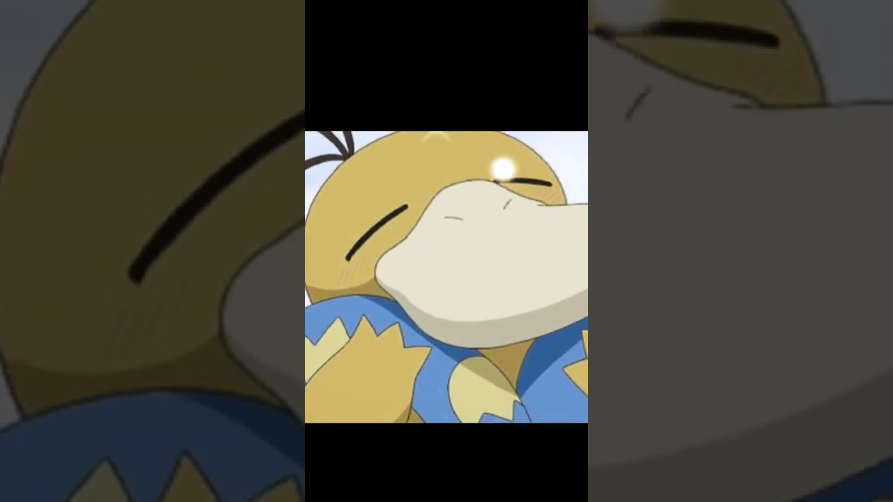 コダックって可愛いよね～～