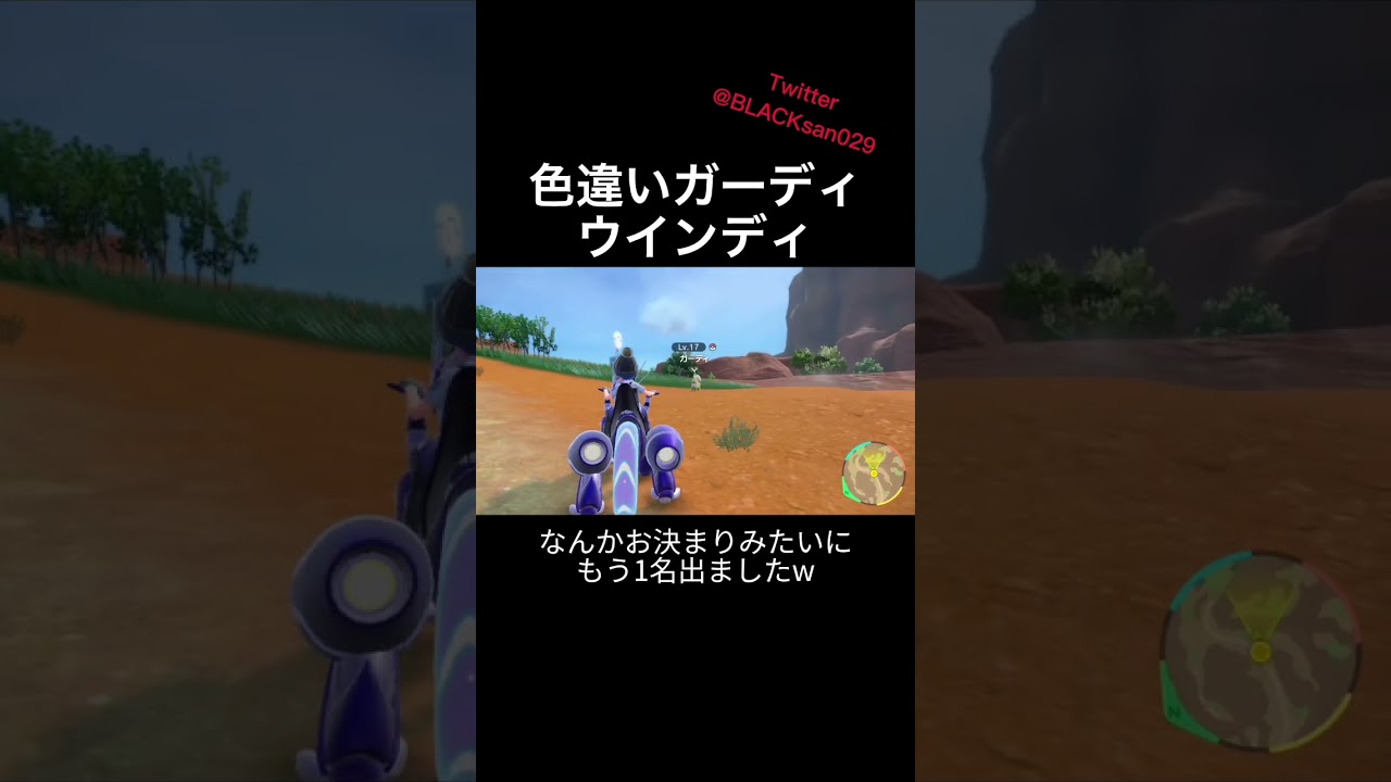 【ポケモンSV】色違いガーディ、ウインディ求めて #ポケモンsv #ポケットモンスター #色違い厳選 #色違い #shorts