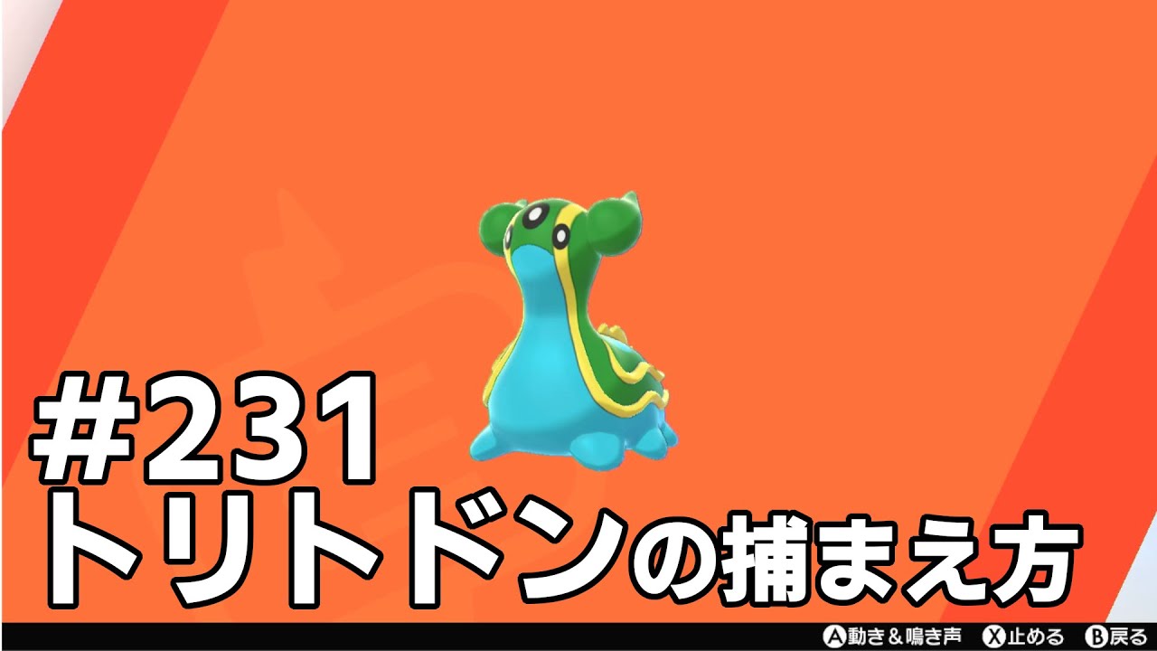 トリトドンを探している方に見てほしい動画