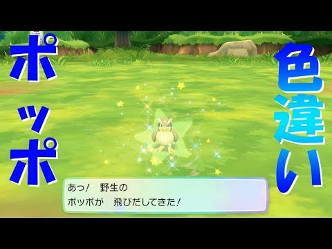【ピカブイ】色違いポッポを捕まえました！【日記】