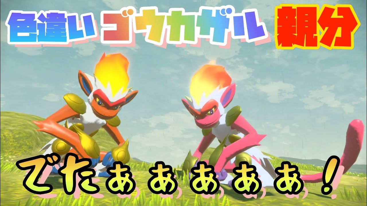 でたぁぁぁぁー！色違い親分ゴウカザルゲットー！【アルセウス】