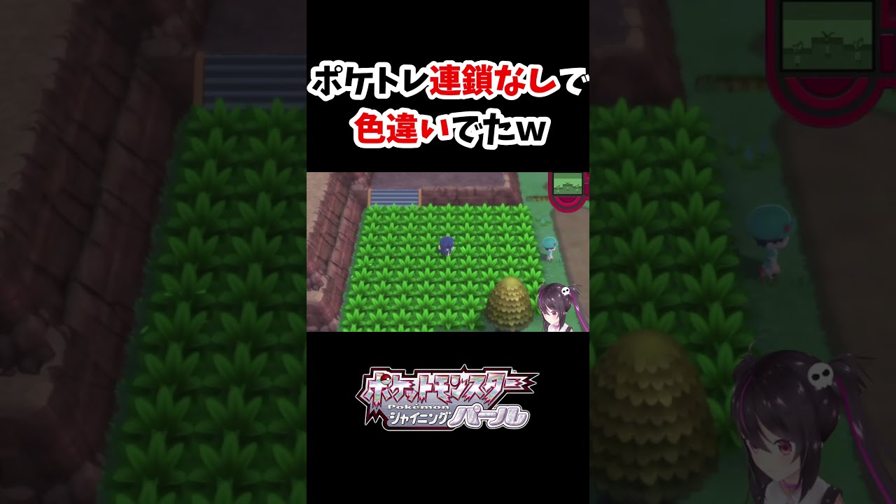 まさかのポケトレ連鎖なしで色違いブイゼルゲットしたVtuber【ポケモンBDSP】【シャイニングパール】#Shorts