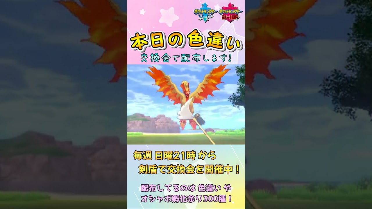 【本日の色違い】ガラルファイヤー 2022/4/18【ポケモン剣盾】