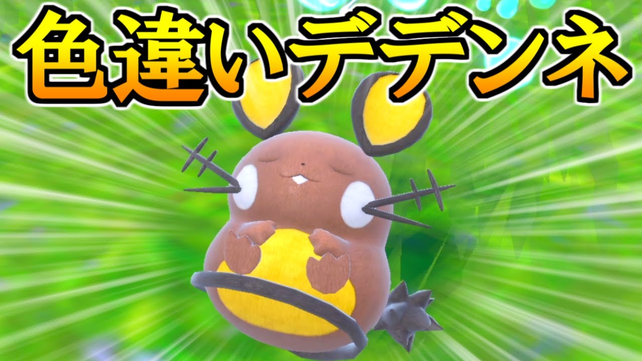 色違いデデンネがどうしても欲しい男【ポケモンSV 色違い】