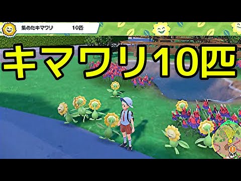 【ポケモン スカーレット】キマワリ10匹の場所『ポケットモンスター スカーレット・バイオレット』