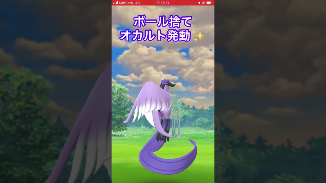 【ポケモンGO】おさんぽおこうでガラルフリーザーに遭遇！ #ポケモンgo #おさんぽおこう #ガラル三鳥 #shorts