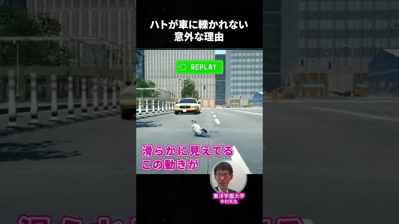 【ゲームで学ぶ】ハトが車に轢かれない理由がかっこいい