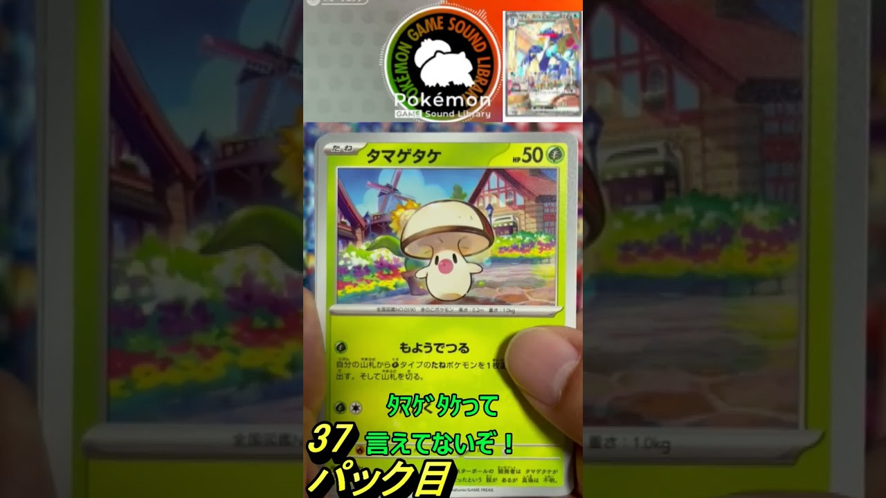 【ポケカ】開封動画37パック目（ﾀﾏｹﾞﾀｹ・ﾌﾞｰﾋﾟｯｸﾞ/ポケカ技紹介）＃トリプレッドビート