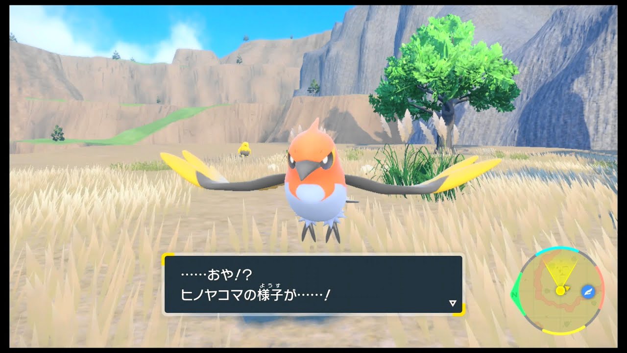 SVのポケモン　ヒノヤコマ レベル35で進化
