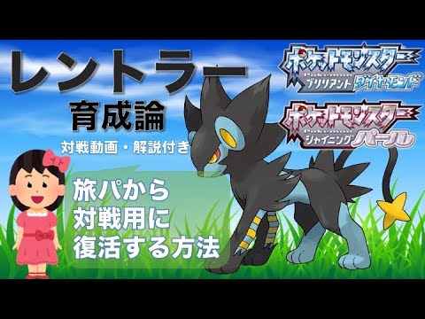 【BDSP】旅パのレントラーを対戦で活躍させよう【ダイパリメイク】概要欄に育成論付き