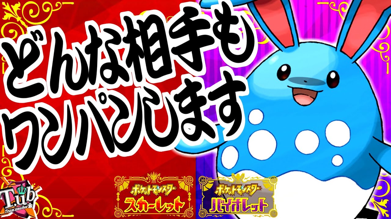 【 ポケモンSV】君達はまだマリルリの本当の強さを知らない。【スカーレット / バイオレット】