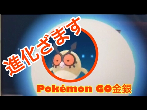 ポケモンGO金銀ホーホー進化シーンヨルノズクCPどれくらい？を語る