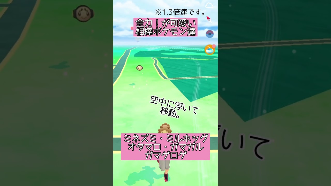 【ポケモンGO】#15 相棒ポケモンの移動する姿が好き♪(ミネズミ・ミルホッグ・オタマロ・ガマガル・ガマゲロゲ)【PokémonGO】 #shorts