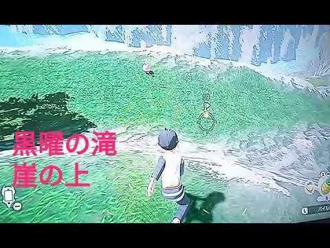 ポケモン アルセウス VS ピンプク 捕獲 入手 出現場所