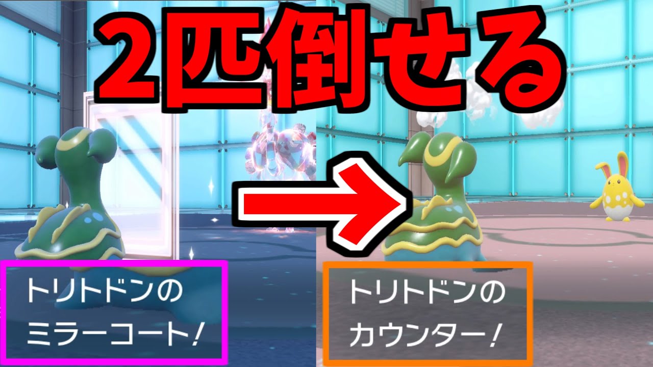 物理も特殊も両方倒せる！両カウンター型トリトドン！【ポケモンSV】