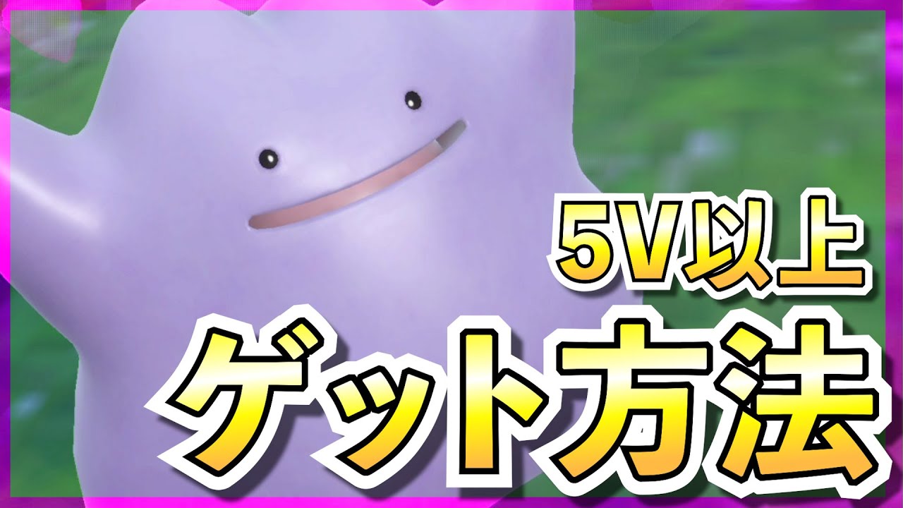 【ポケモンSV】誰でもできるメタモンのゲット方法を教えます