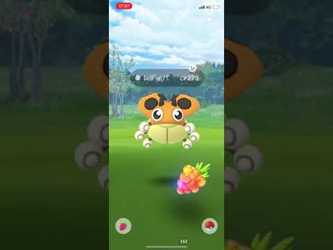 ポケモンGO色違いレディバ