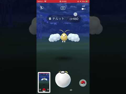 色違い　チルット