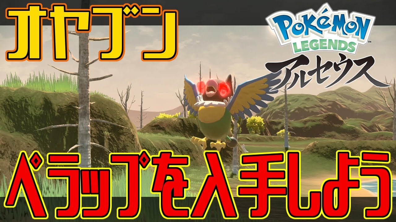 【ポケモンアルセウス】オヤブンのペラップを入手しよう【Pokémon LEGENDS アルセウス】