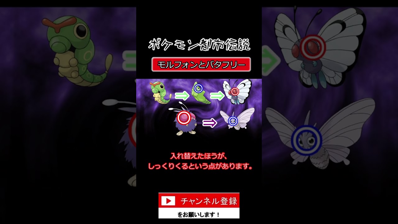 ポケモンの都市伝説　バタフリーとモルフォン　#shorts