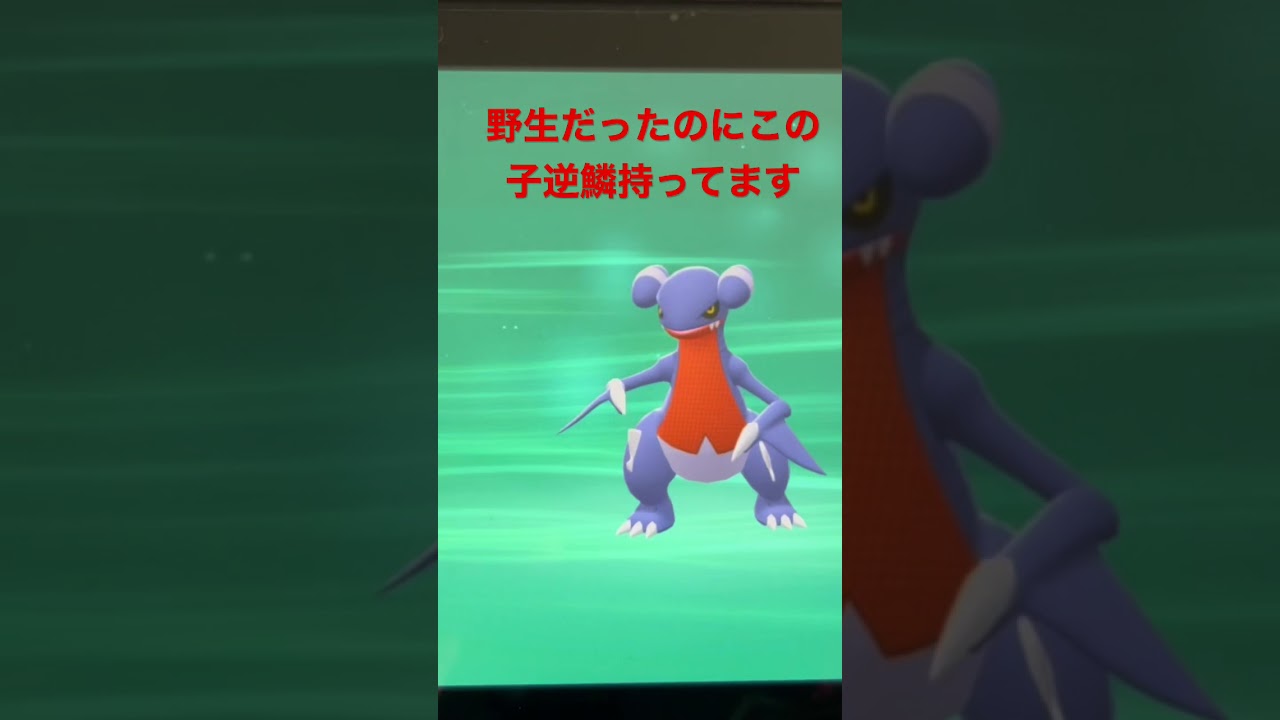 野生のフカマルだったのに逆鱗持ってましたこの子