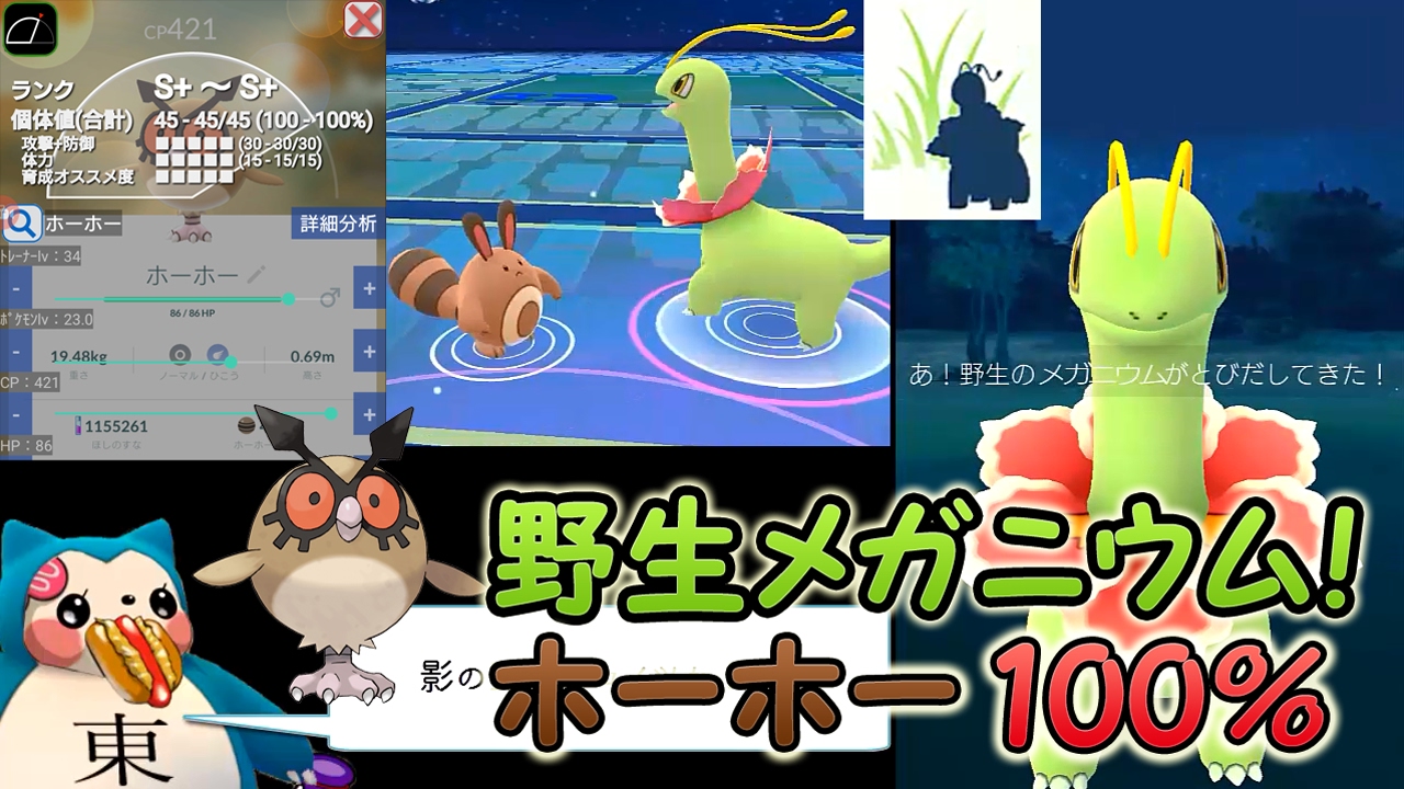 【ポケモンGO】野生メガニウム捕獲＆ホーホー個体値100％