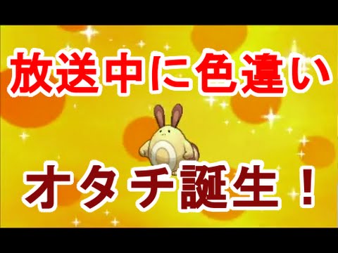 【ポケモンORAS】放送中に色違いオタチが3匹も生まれたよ♪【国際孵化】 pokemon omega ruby alpha sapphire Sentret shiny pokemon