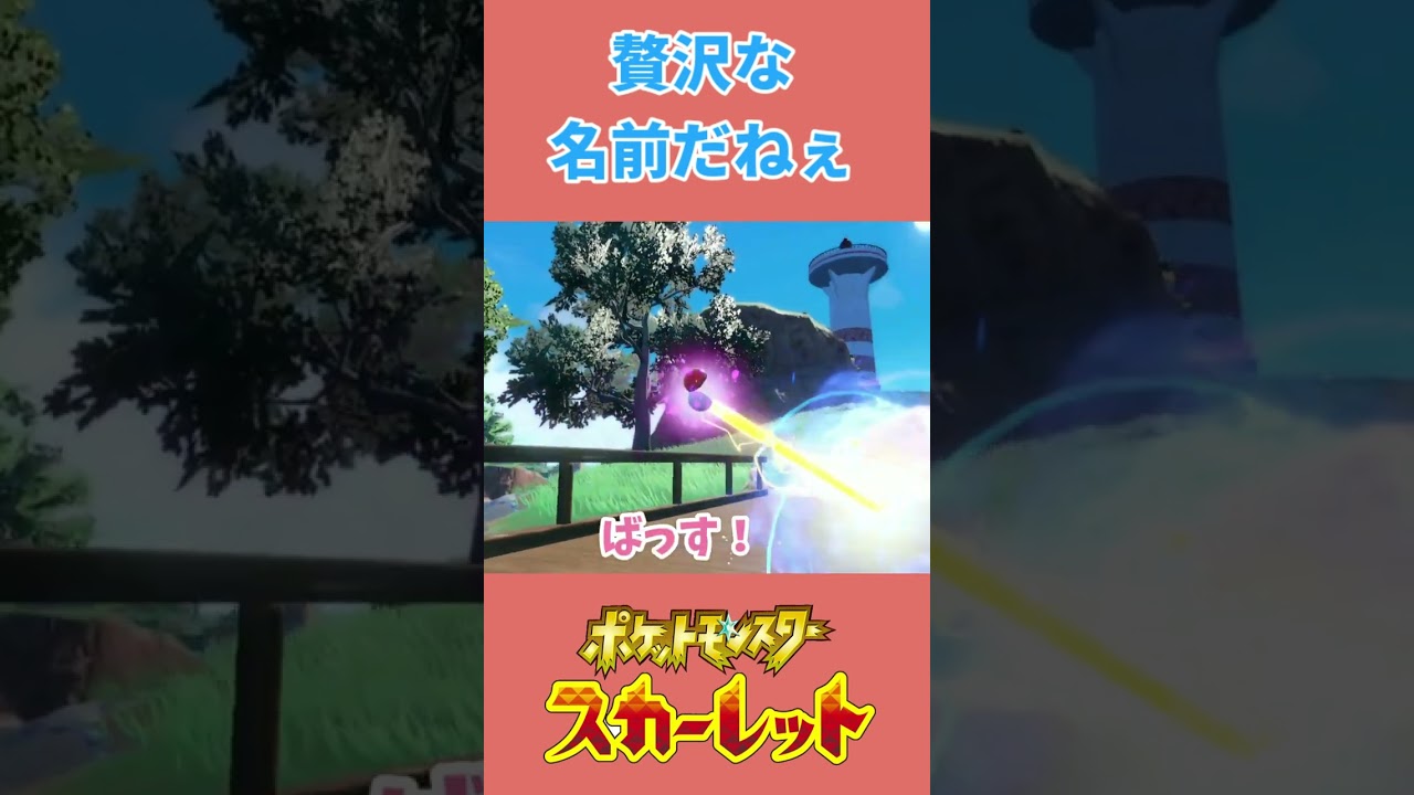 ルリリ？贅沢な名前だねぇ【ポケモンsv】#shorts