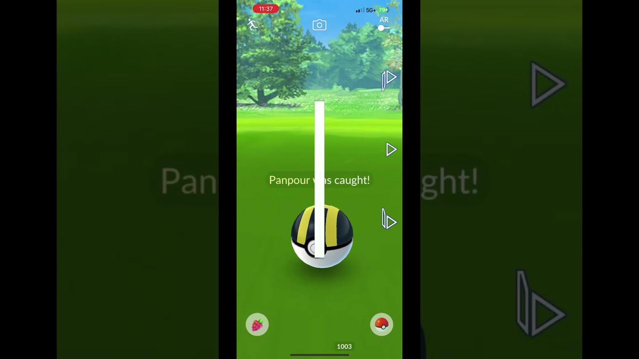 Shiny Panpour Caught in the wild and Evolution to Simipour!!! (Pokemon Go)
