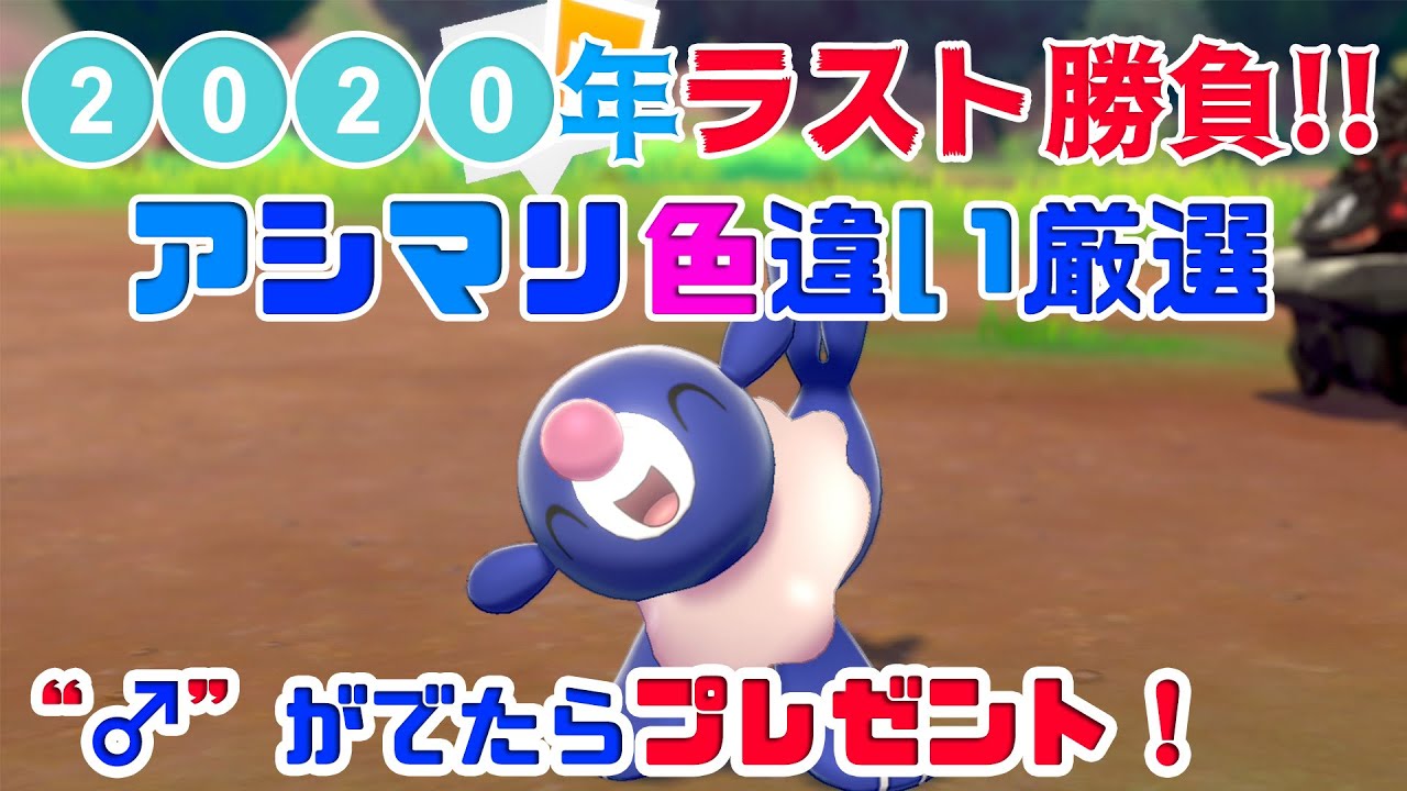 【アシマリ色違い♀厳選】１時間くらい限定で！！今年にケリをつけようぜ【♂ならプレゼント！】