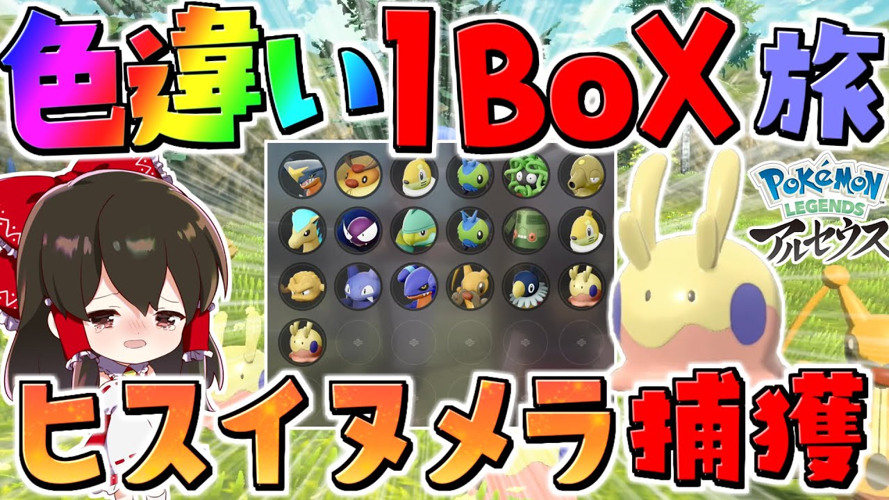 【レジェンズアルセウス 】遂に色違いヌメラゲット⁉ 色違い1BOX大量発生でリセット禁止で集める旅　三日目【ゆっくり実況/Pokémon LEGENDS アルセウス】