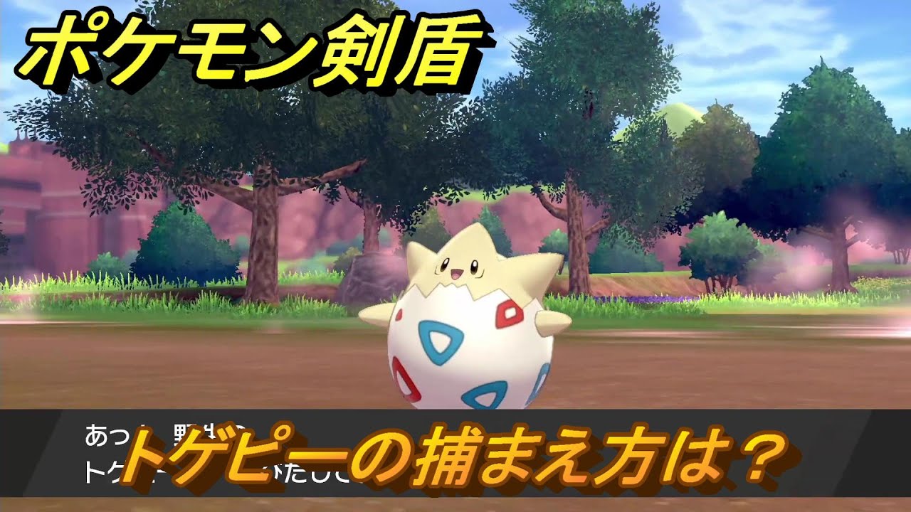 ポケモン剣盾　トゲピーの出現場所は？オススメの場所は？天気は？ポケモン図鑑コンプへの道！　最新版【ポケモンソード・シールド】