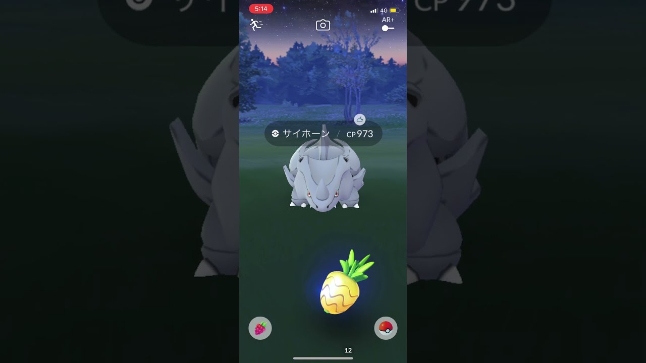 サイホーン/Rhyhorn