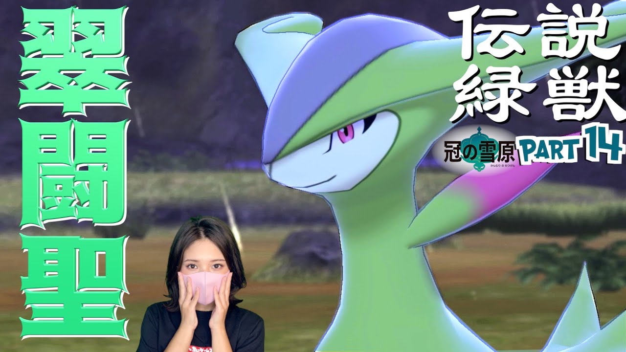 【冠の雪原】三闘獣ビリジオン!足跡を辿って探し出せ!!【ポケットモンスターソードシールド 】part14