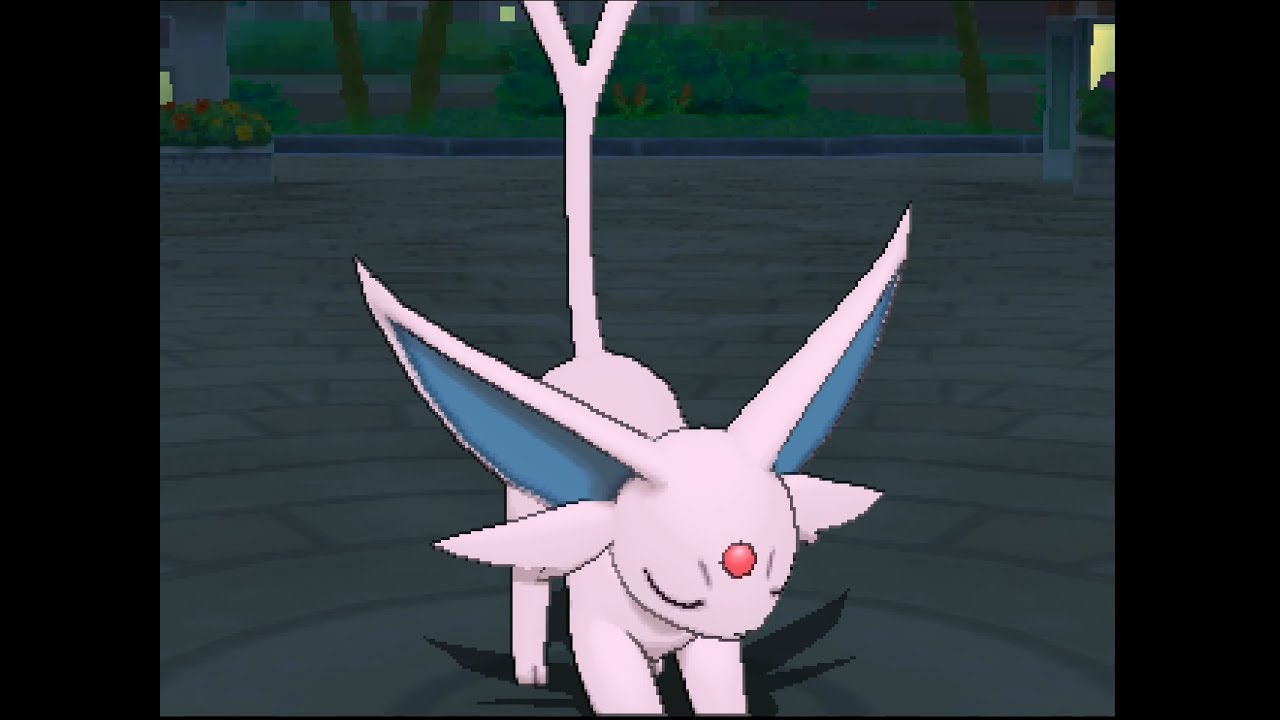 ポケリフレ　エーフィと戯れるだけの動画