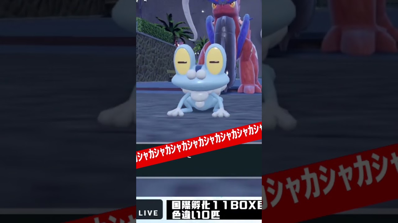 1333個目で出たケロマツに過去一の過呼吸を贈る　#国際孵化　#ポケモンsv