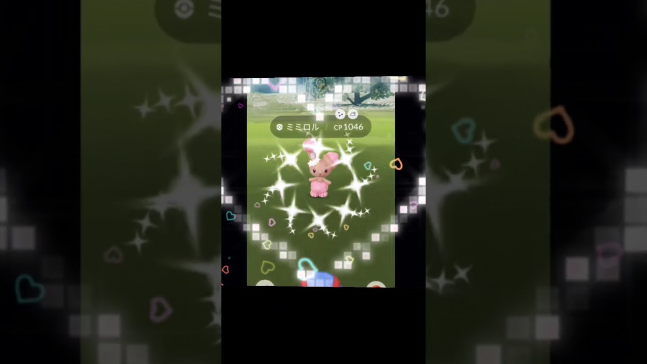 【色違いポケモン！】桜ミミロルと桜ミミロップ！ #ポケモンgo #ミミロル#色違いポケモン