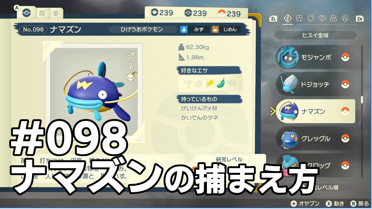 ナマズンを探している方に見てほしい動画