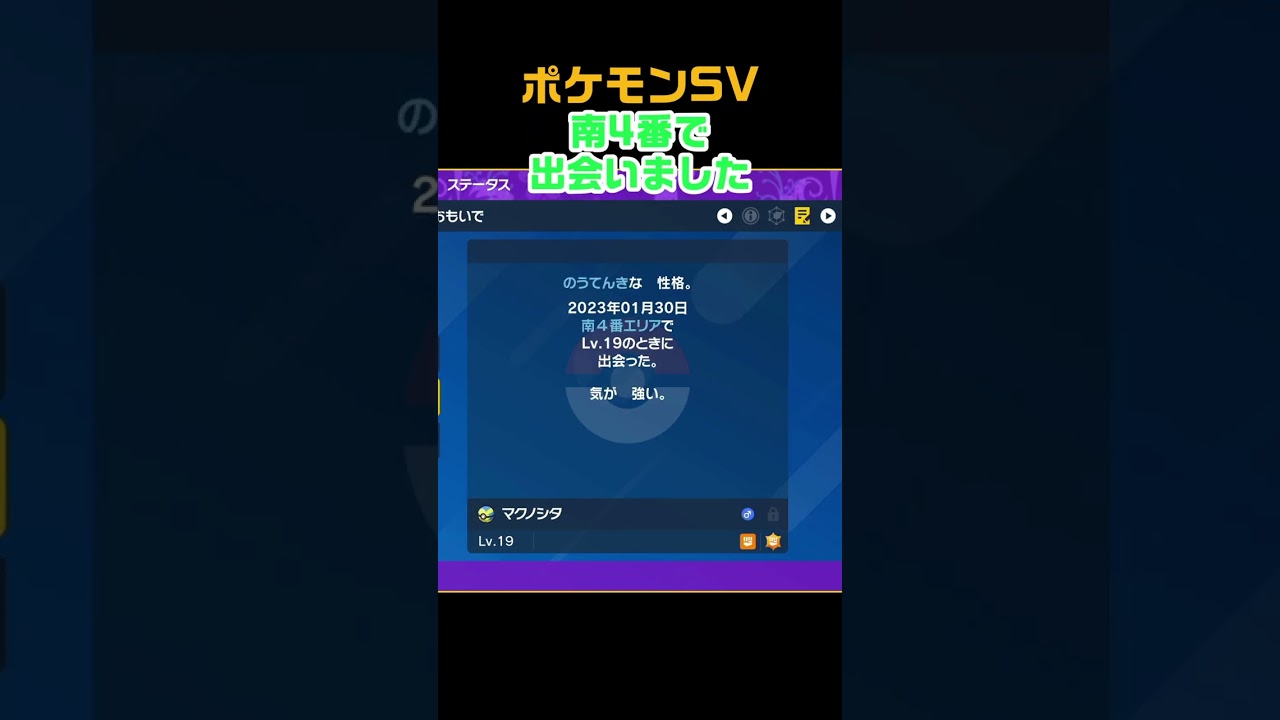 色違いマクノシタ　#shorts　ポケモンSV