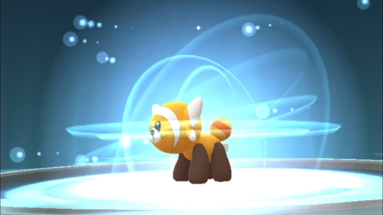 ポケモンGOヌイコグマ色違い！！進化させるよ。キテルグマPokémonGO