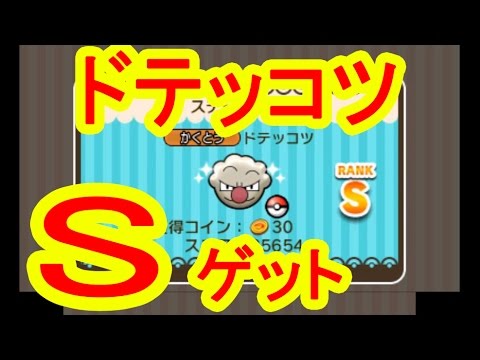 ドテッコツにはメガプテラでSゲット！　ポケとる実況